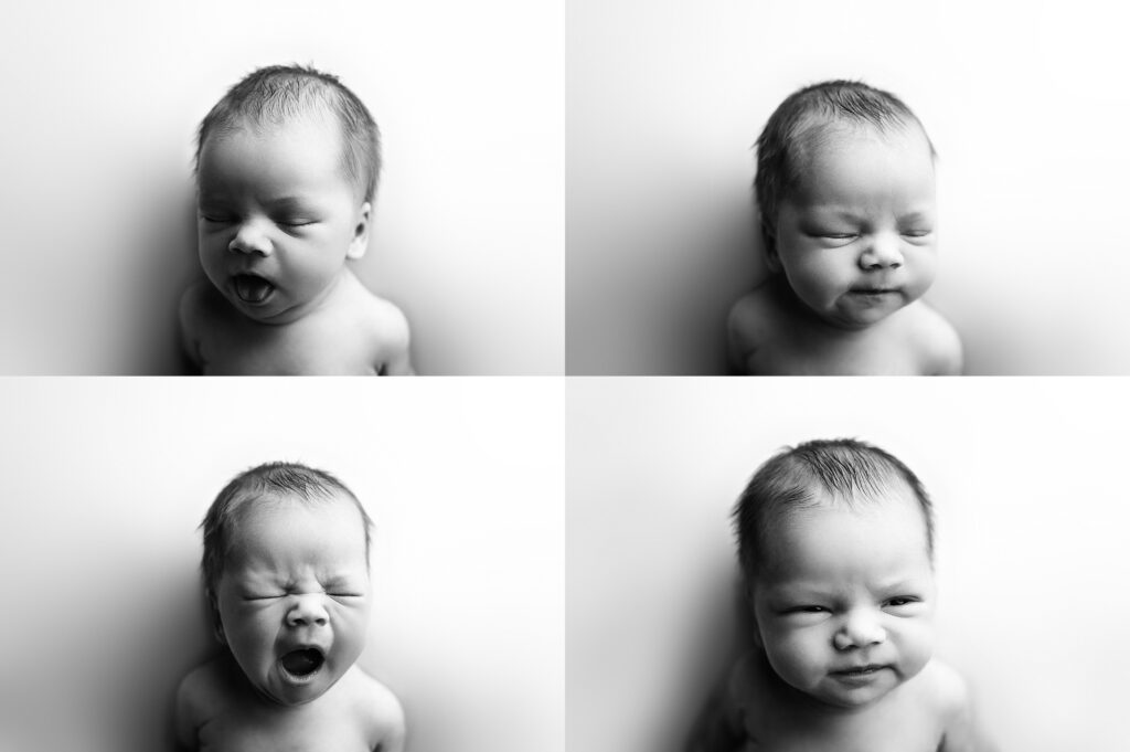 series of four b&w newborn portraits showcasing different expressions. Photographed on a simple white backdrop. 
