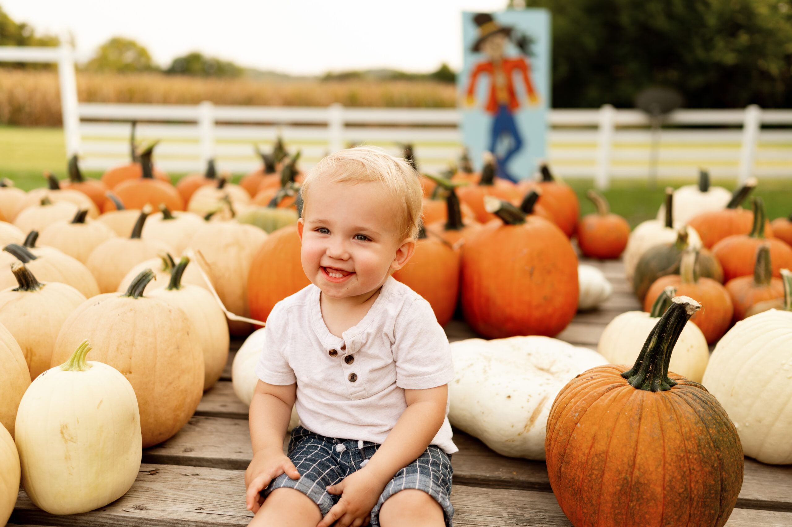 Photo of a toddler boy posing on a truck filled with pumpkins